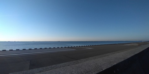 P_20210228_070418
