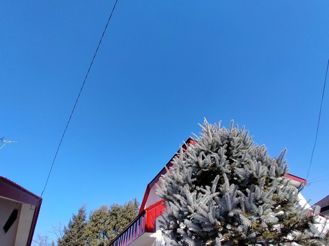 IMG20211231112714