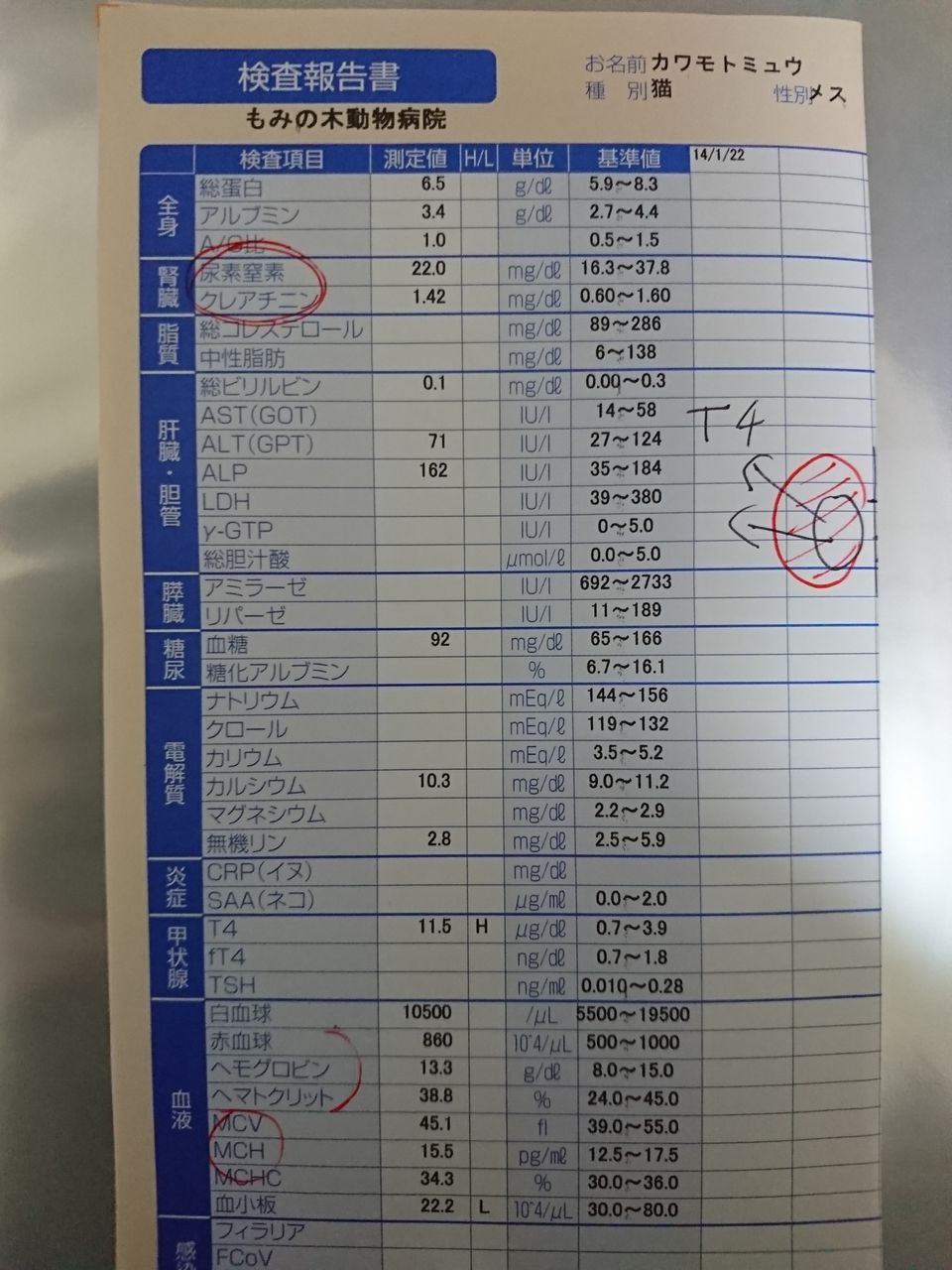 甲状腺機能亢進症 : みゆうの部屋