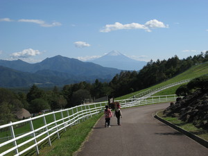 富士山
