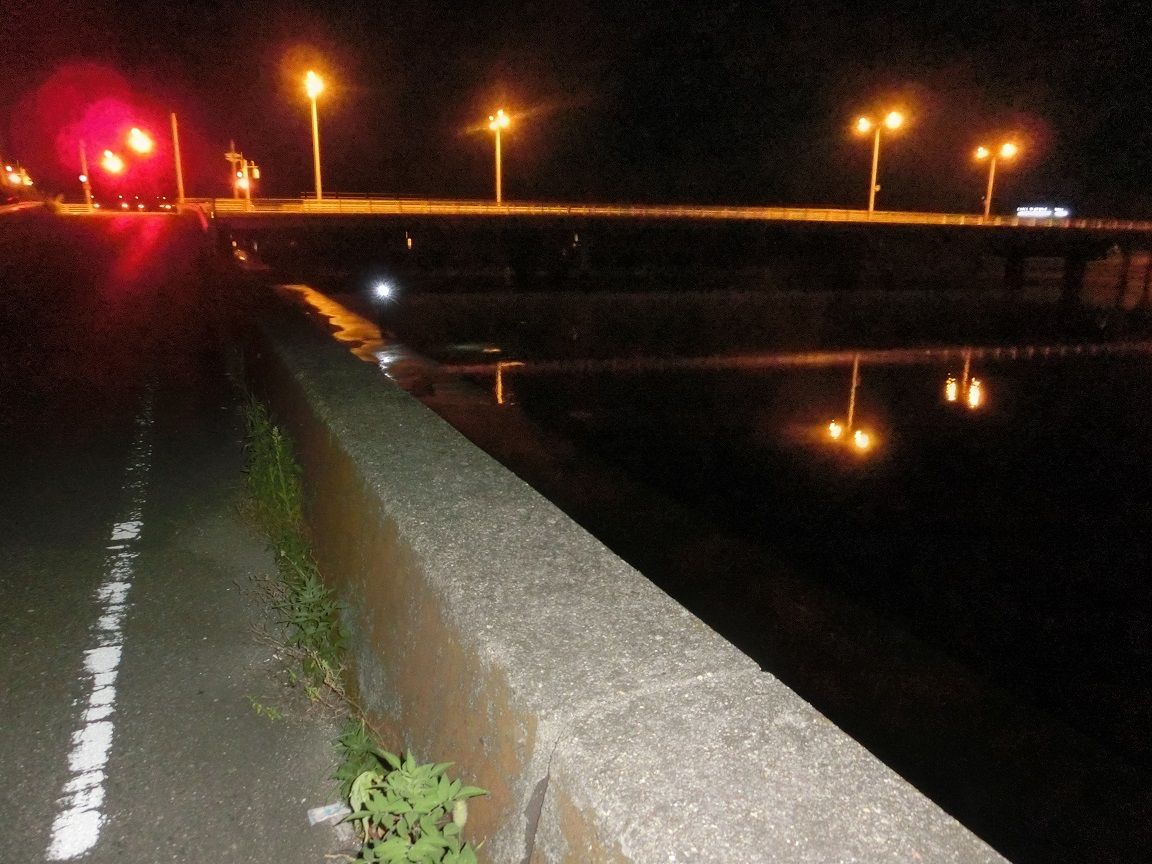 高知 浦戸湾 仁淀川遠征 岡山のおっさん釣りメモ日記