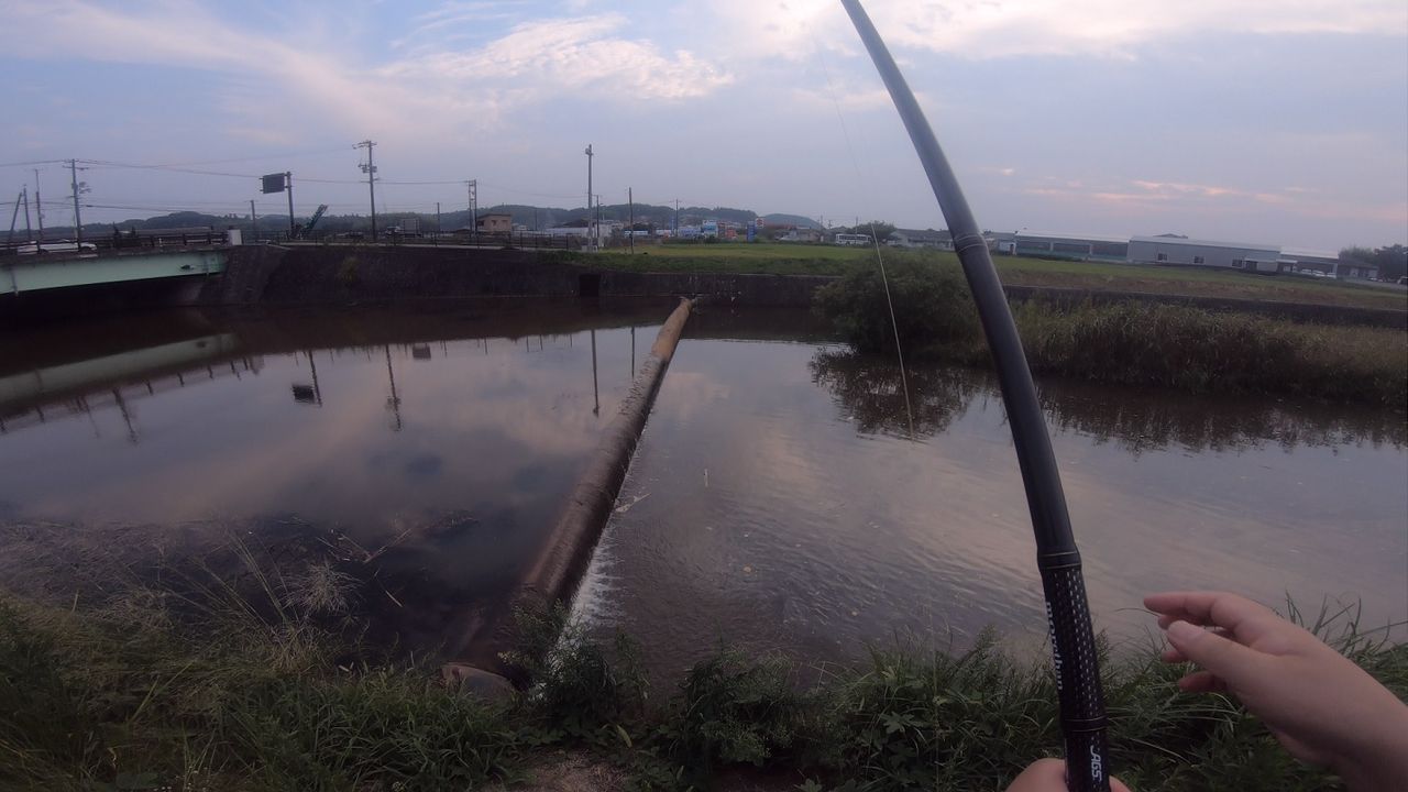 宍道湖遠征二日目 宍道湖西岸巡り 岡山のおっさん釣りメモ日記