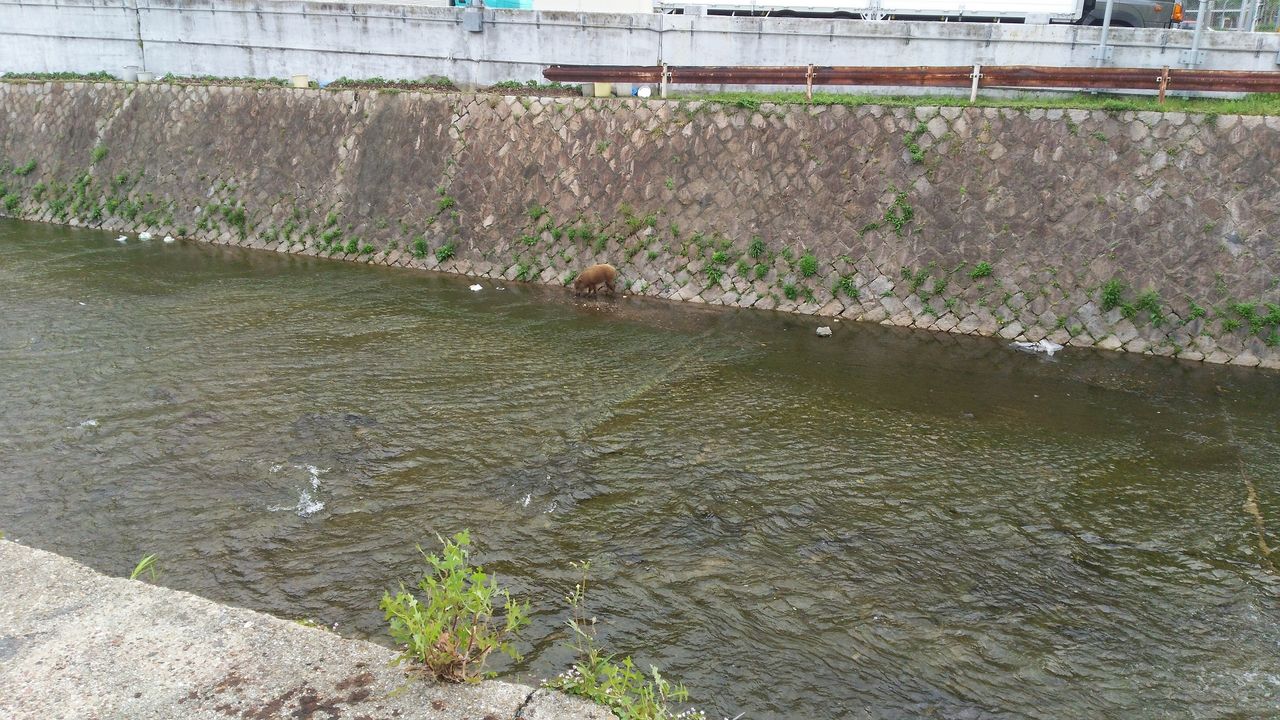 神戸に行ってきたので生田川と灘浜緑地を下見 岡山のおっさん釣りメモ日記