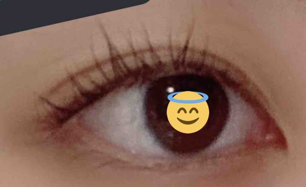 第1回 セルフまつげパーマ ミザワの美容メモ 第1回 セルフまつげパーマ ミザワの美容メモ