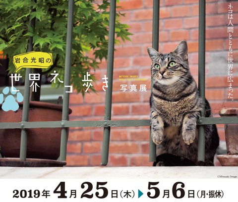 421f3901047933468545cc7b5f826a2895f2305a