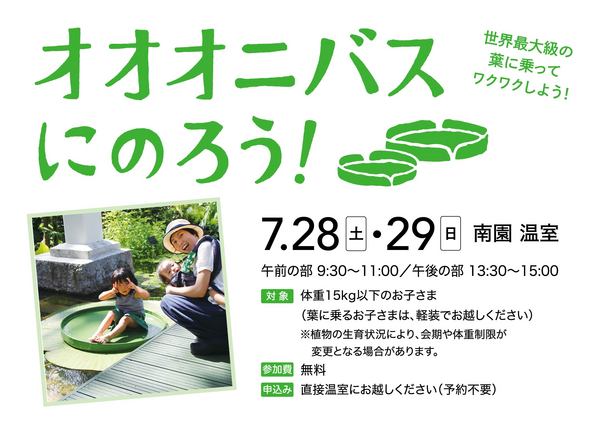 18年7月28日土曜 29日日曜 オオオニバスにのろう 牧野植物園 まいこうち 18年7月28日土曜 29日日曜 オオオニバスにのろう 牧野植物園 まいこうち