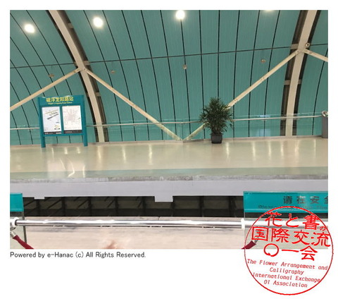 水茄美人倶楽部の国際文化交流/水なす美人塾画像