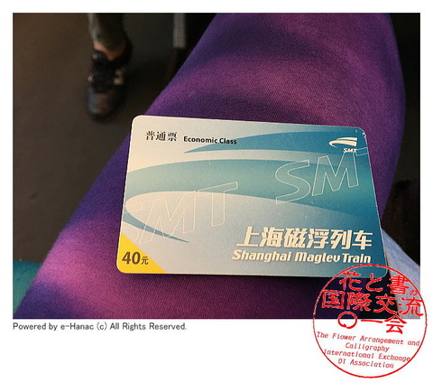 水茄美人倶楽部の国際文化交流／水なす美人塾画像