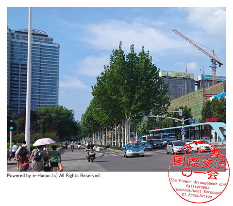 水茄美人倶楽部の国際文化交流／水なす美人塾画像