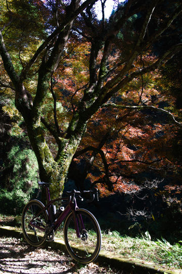 SDIM0573