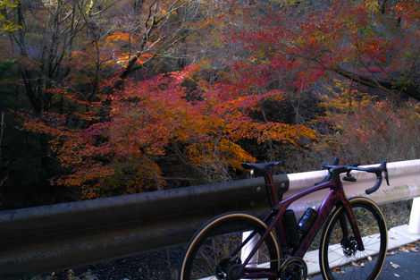 SDIM0575