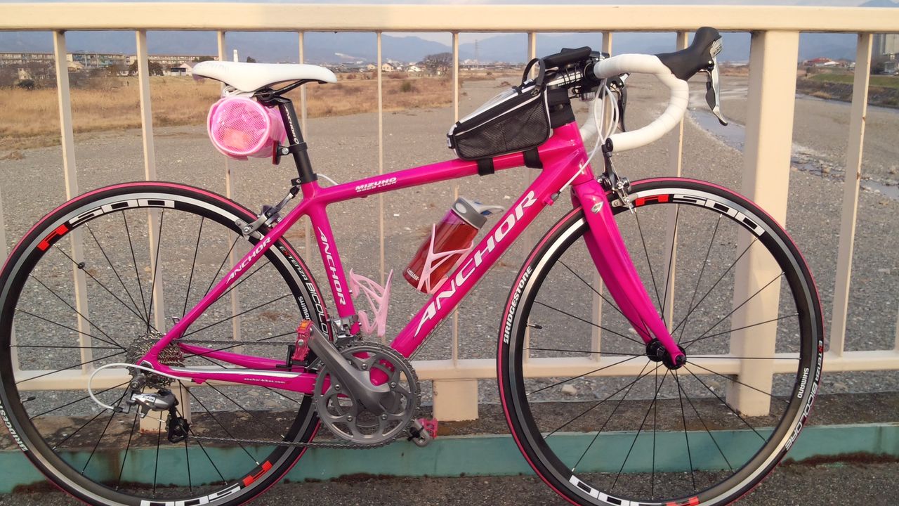 初ロードバイク購入 納車 熱帯魚と自転車と 初ロードバイク購入 納車 熱帯魚と自転車と