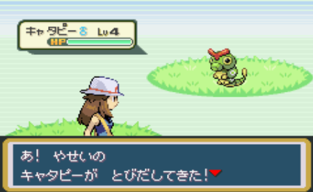 ポケモンファイアレッドプレイ日記2 水に強いブログ ポケモンファイアレッドプレイ日記2 水に強いブログ