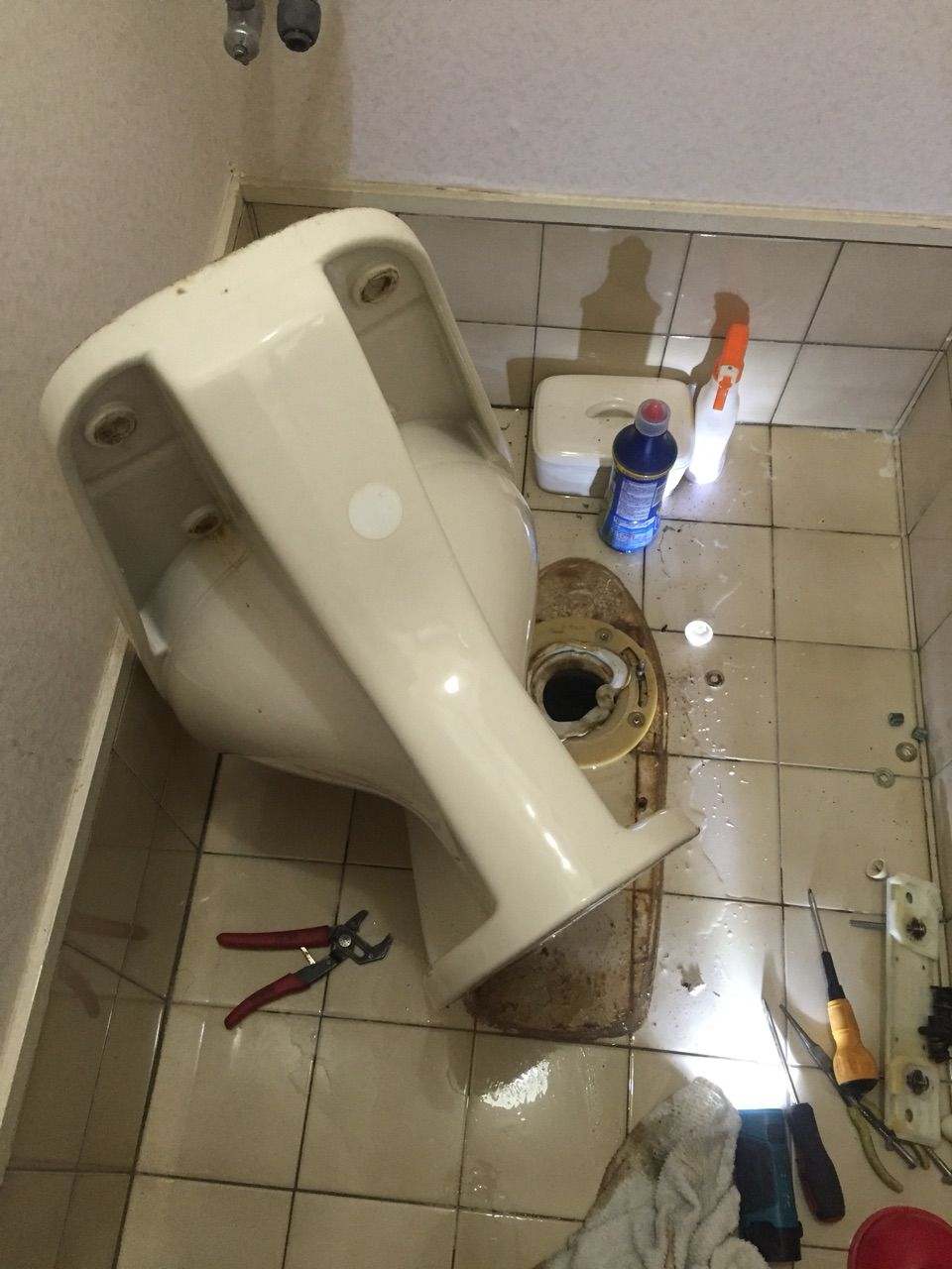 水もれドルフィンの安心だいじょうブログ トイレ水漏れ 便器と床の繋ぎ目から水が漏れてくる つまり 京都市