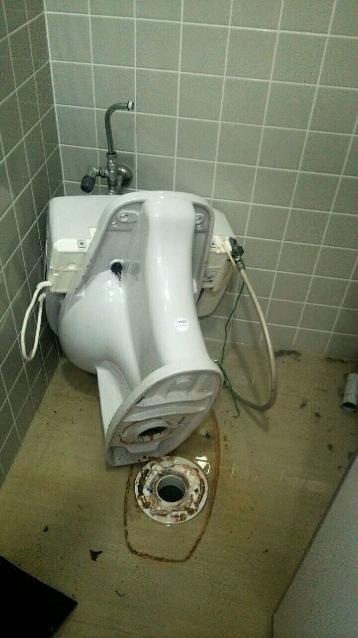 トイレ詰まり 高槻市 水もれドルフィンの安心だいじょうブログ トイレ詰まり 高槻市 水もれドルフィンの安心だいじょうブログ
