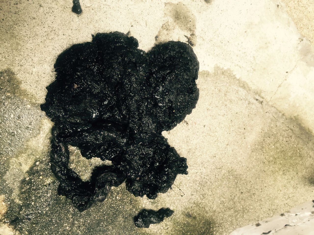 下水詰まり 高圧洗浄 京都市北区 水もれドルフィンの安心だいじょうブログ