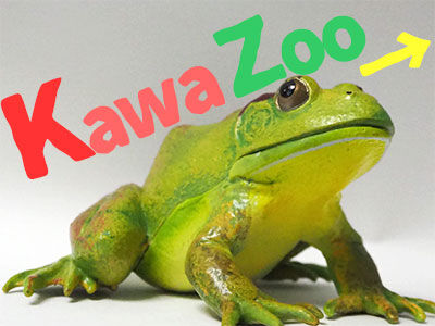 伊豆旅行 体感型カエル館kawazoo カワズー Sleカエル君の勝手にミズガエル劇場 伊豆旅行 体感型カエル館kawazoo カワズー Sleカエル君の勝手にミズガエル劇場