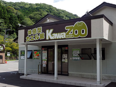 伊豆旅行 体感型カエル館kawazoo カワズー Sleカエル君の勝手にミズガエル劇場