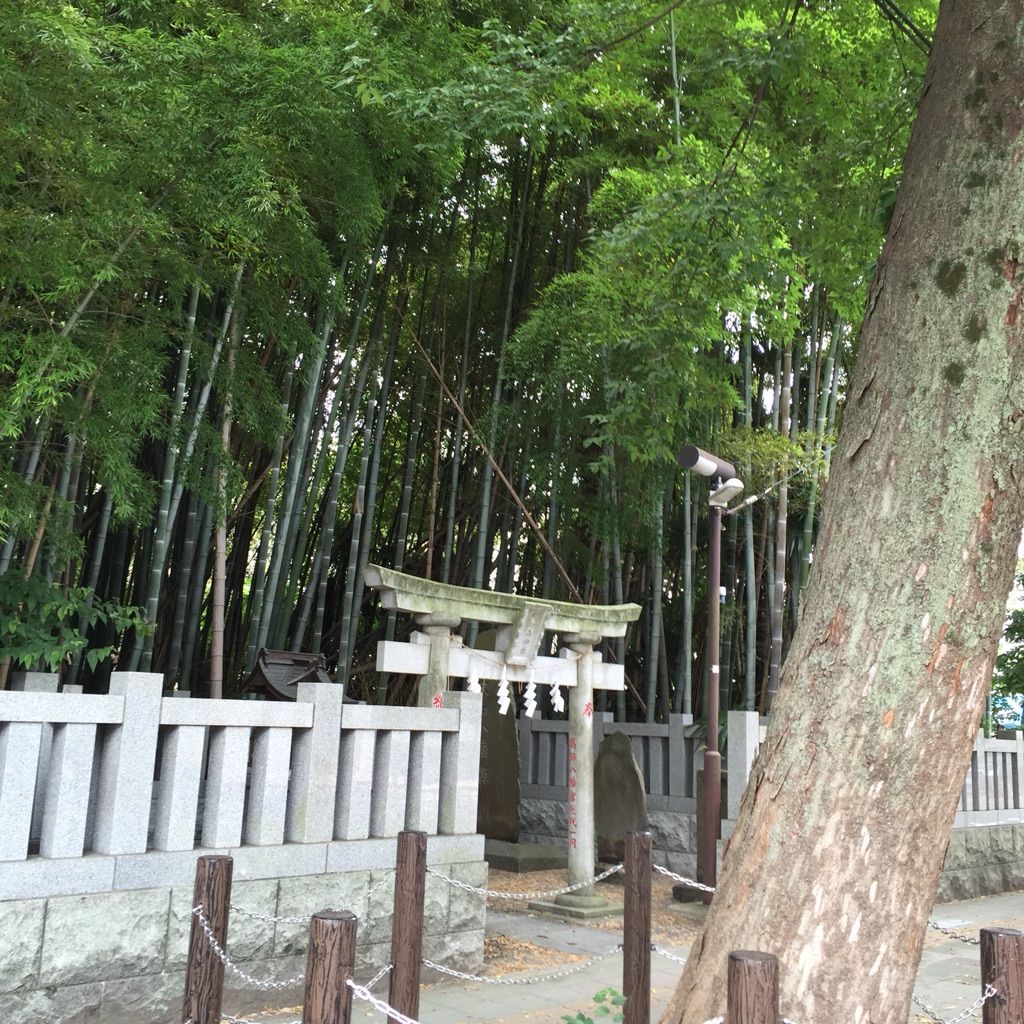 東京横断長距離ドライブ 八幡の森の藪知らず 石野良和のブログ 日々是更新