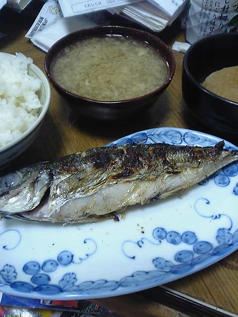 地学の学習 ヴァペール 蜻蛉日記 中 27 天禄二年正月元日 六日 初 前渡り 石野良和のブログ 日々是更新