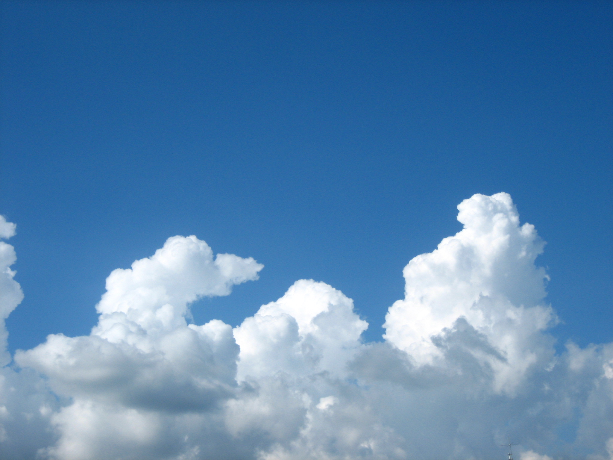 夏雲 つれづれだより