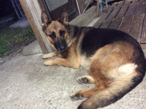 20180917_091616224_iOS