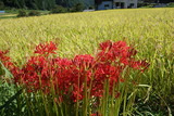 DSC00061