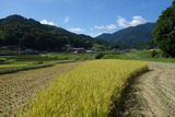 DSC00071