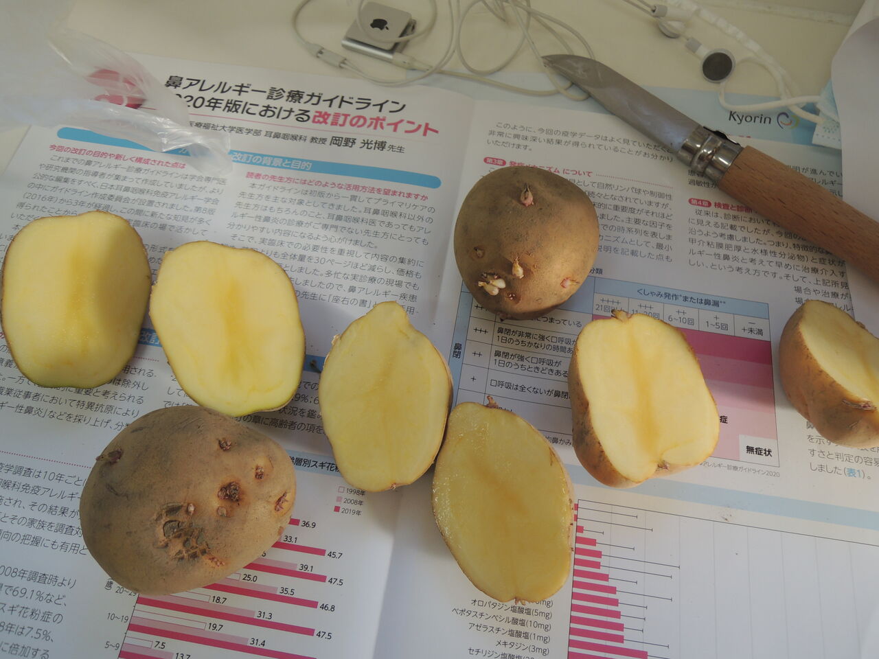 初めてのじゃがいもプランター栽培 医療法人 みずほ整形外科のブログ 初めてのじゃがいもプランター栽培 医療法人 みずほ整形外科のブログ