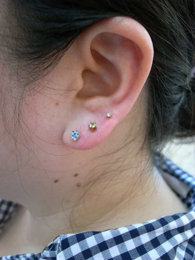 訪問 風刺 時々 ピアス 右 3 左 2 Tokyo Gyokuyoukai Jp