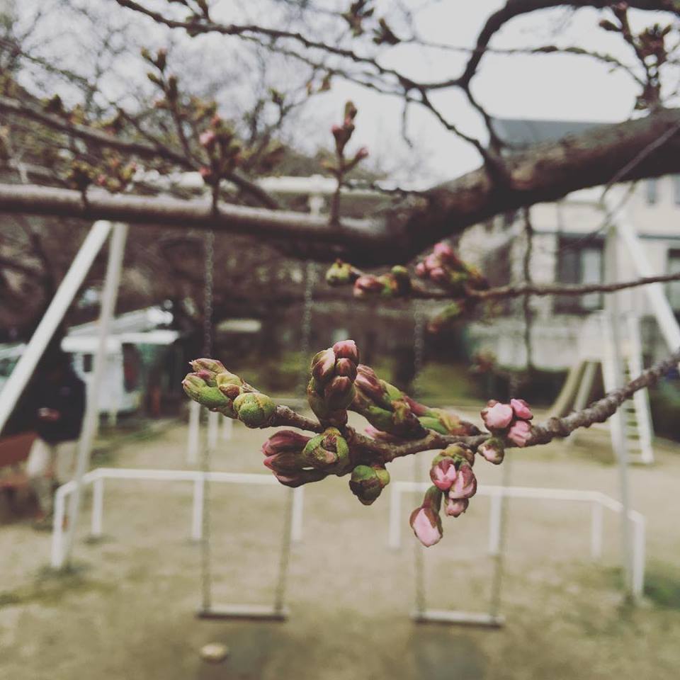 54437077_2050868194962993_3330626483826720768_n