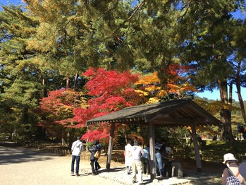 C60757A2-1345-4ABF-99D0-74DE4BBFE1D1