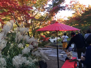 FF81B093-4B04-4CD8-99EC-1ABE265574D1