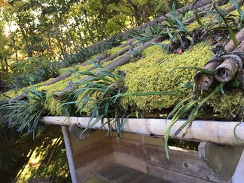 A14C8460-EB9D-47FC-A23B-C39710897FBC