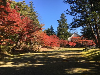 C1FE42AA-7BEC-4AB9-8B66-8D6389B51F0D