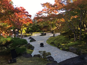 C7E9399A-123F-4258-A583-A084EAA1018B