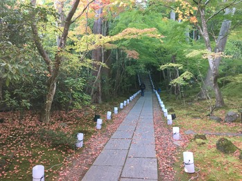 AF89B0E8-2C8C-4493-A3DD-C7748C508168