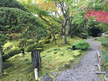 54D41F0E-6BE1-4FB6-B030-5876831D5997