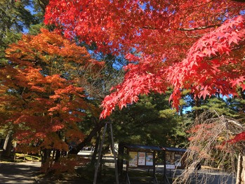 D10465B5-DD59-4691-B133-D77BDF31AD0D