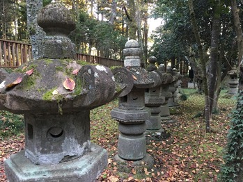 E30E754B-CC28-49F7-843B-DF3F0DB2B1B1