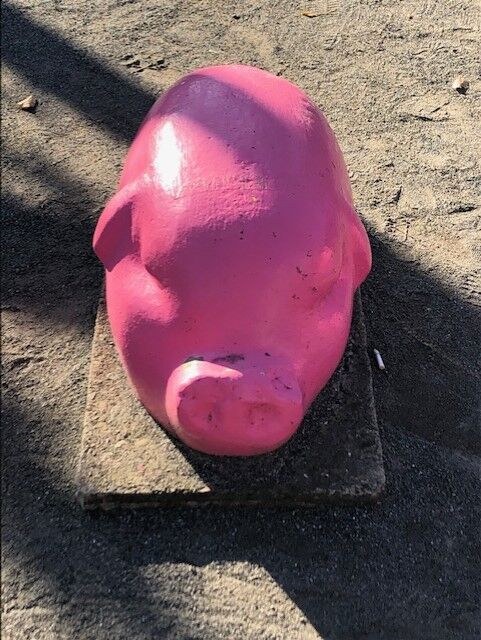 二足歩行の豚　２点 二本足で立っているブタ | 無料ベクトル素材