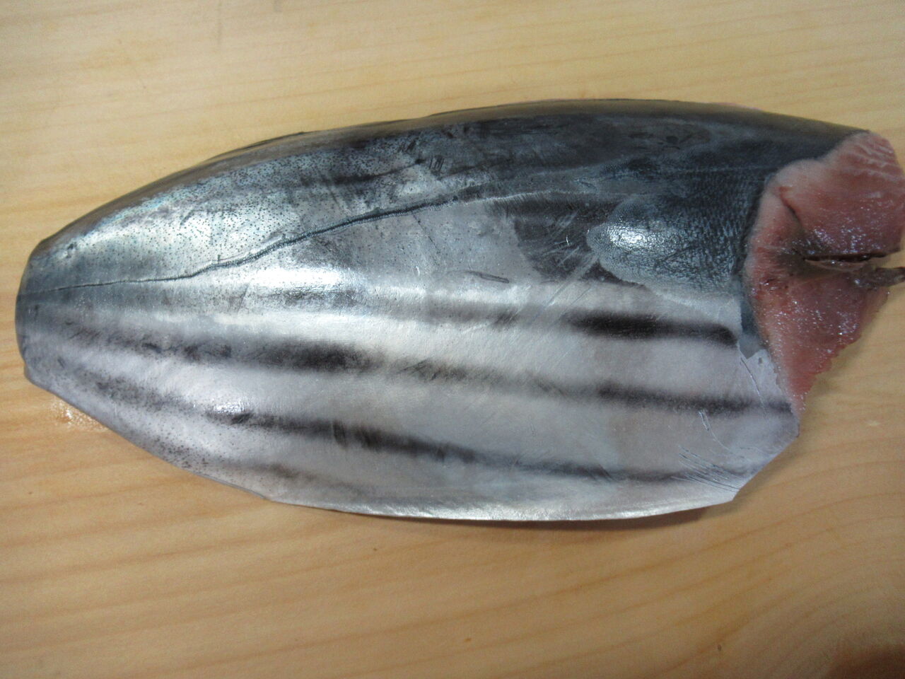 カツオの銀皮造り が作りたい その続編 つづき ニクイルワの国 カツオの銀皮造り が作りたい その続編 つづき ニクイルワの国
