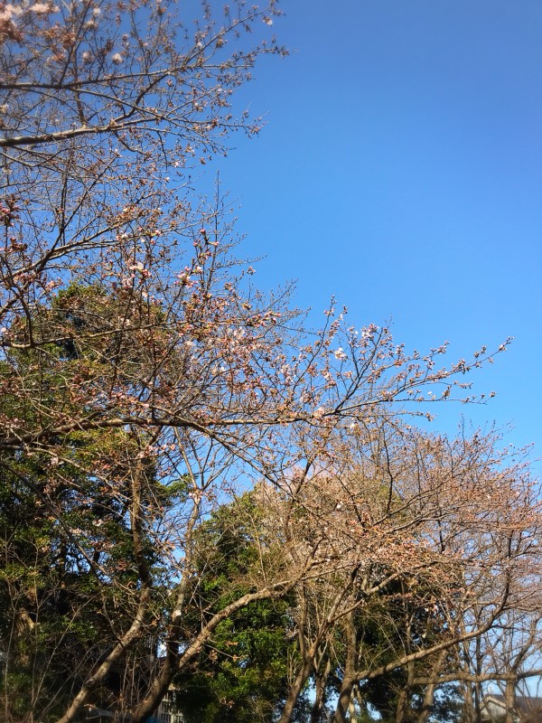 e0539209.jpg