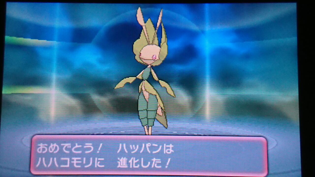 ポケモンoras ハピナス道場に通い詰め 終花みずきのゲーム日和2nd ポケモンoras ハピナス道場に通い詰め 終花みずきのゲーム日和2nd