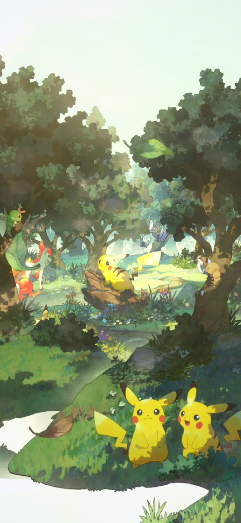 Screenshot_20241030-121347