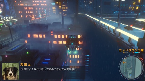 20250111214106_1