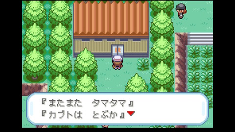 【ポケモンFRLG】 殿堂入り後のナナシマ巡り