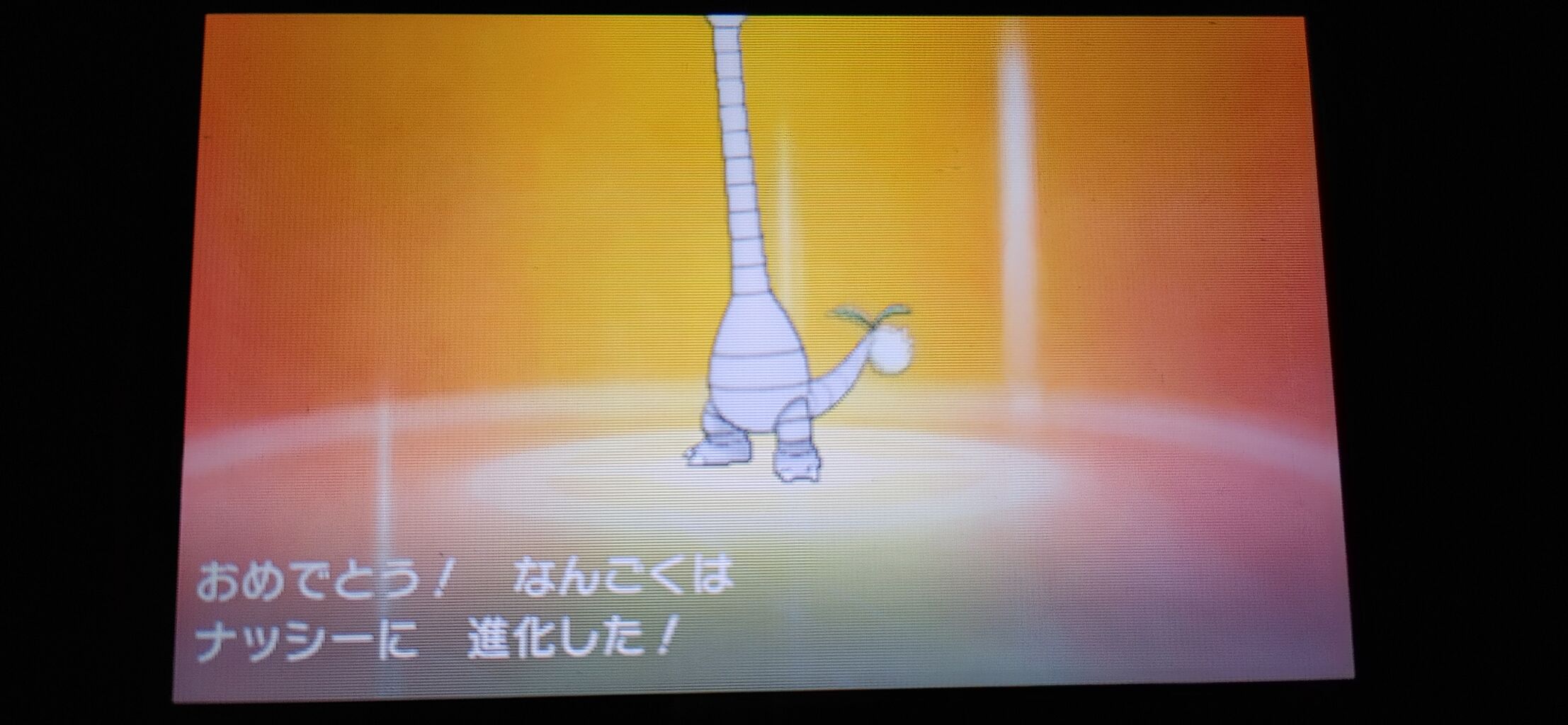 ポケモンusum Z を捕まえろ 終花みずきのゲーム日和2nd