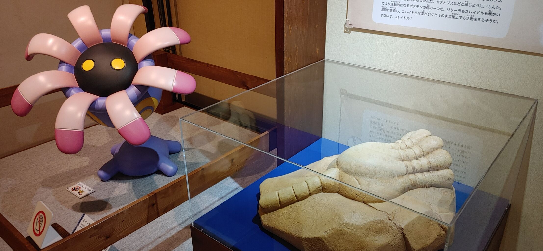 ポケモン 化石博物館に行ってきました 終花みずきのゲーム日和2nd