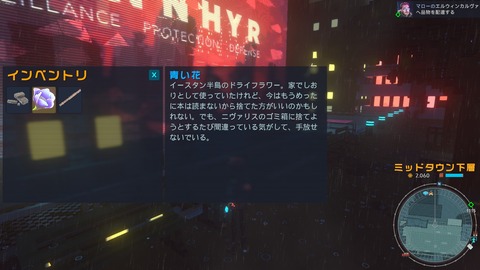 20250111210204_1